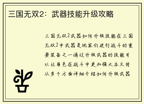 三国无双2：武器技能升级攻略
